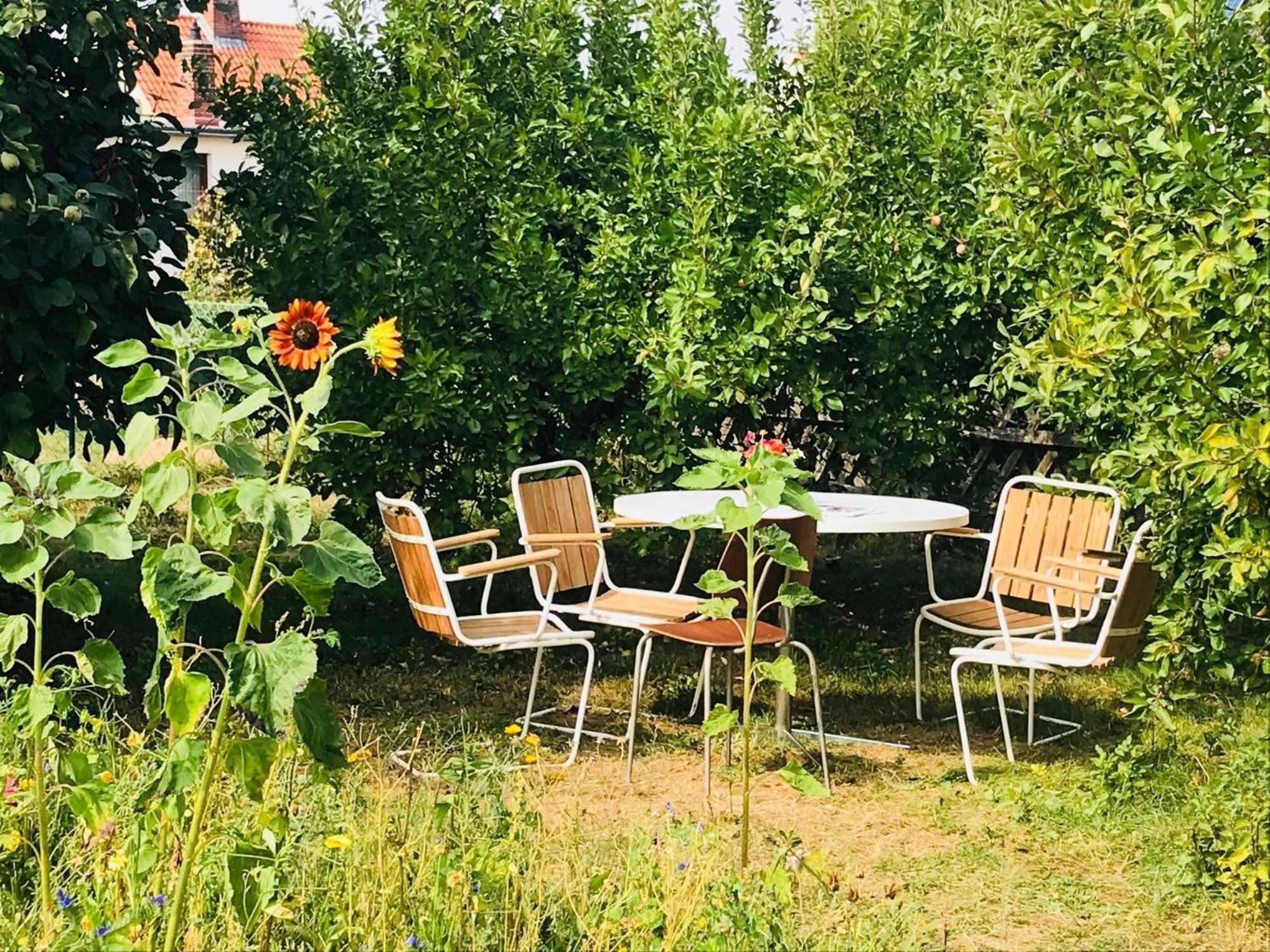 Casa Marcu Wohnung 1 Og Landkirchen Dış mekan fotoğraf
